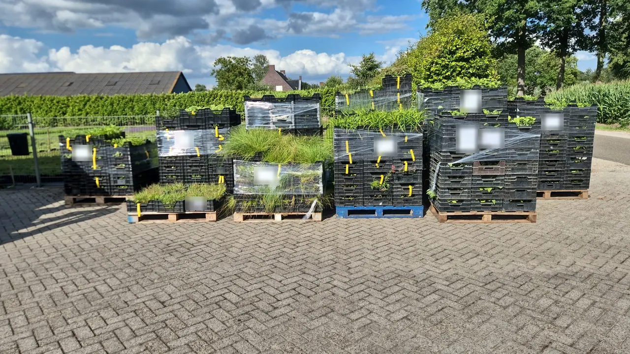 Complete orders op pallets, klaar voor transport